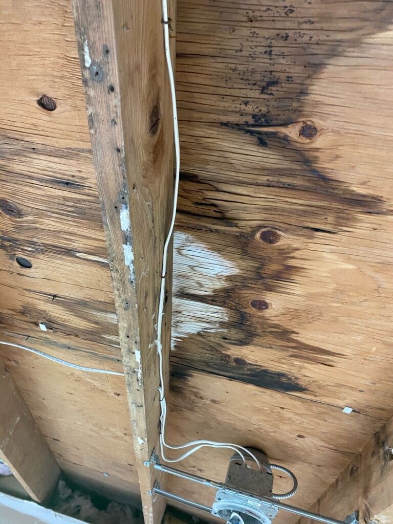 mold infestation in wooden pannel