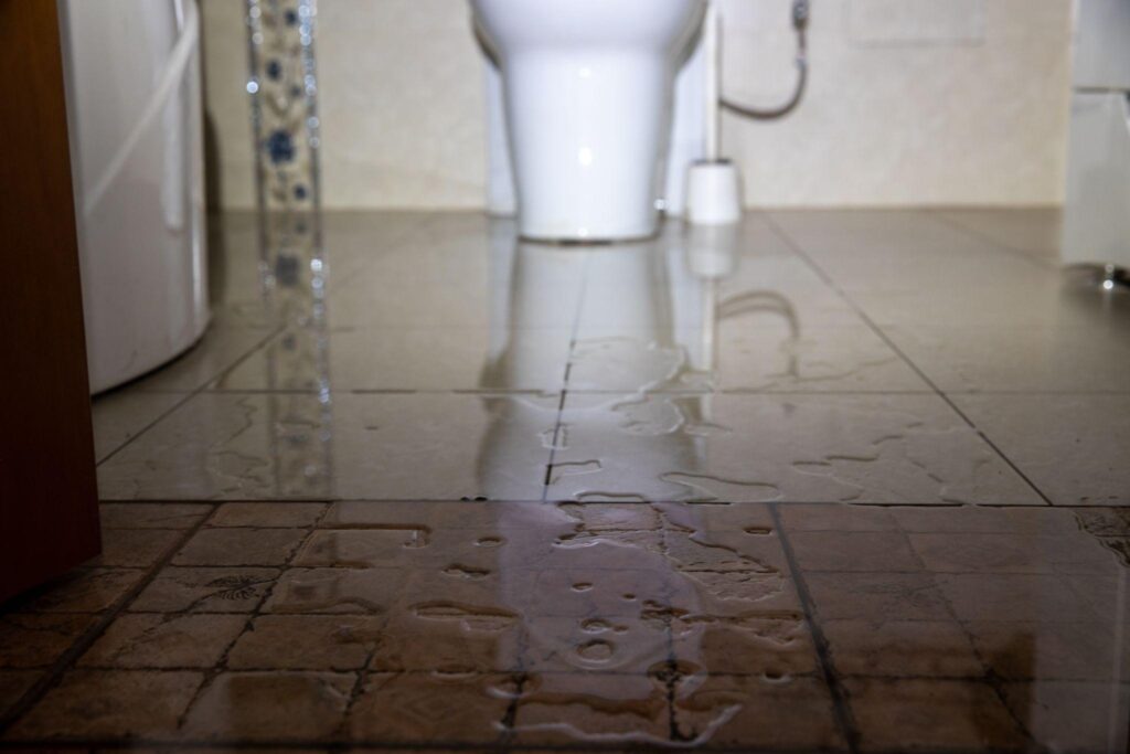 A white toilet sitting on top of a tile floor.