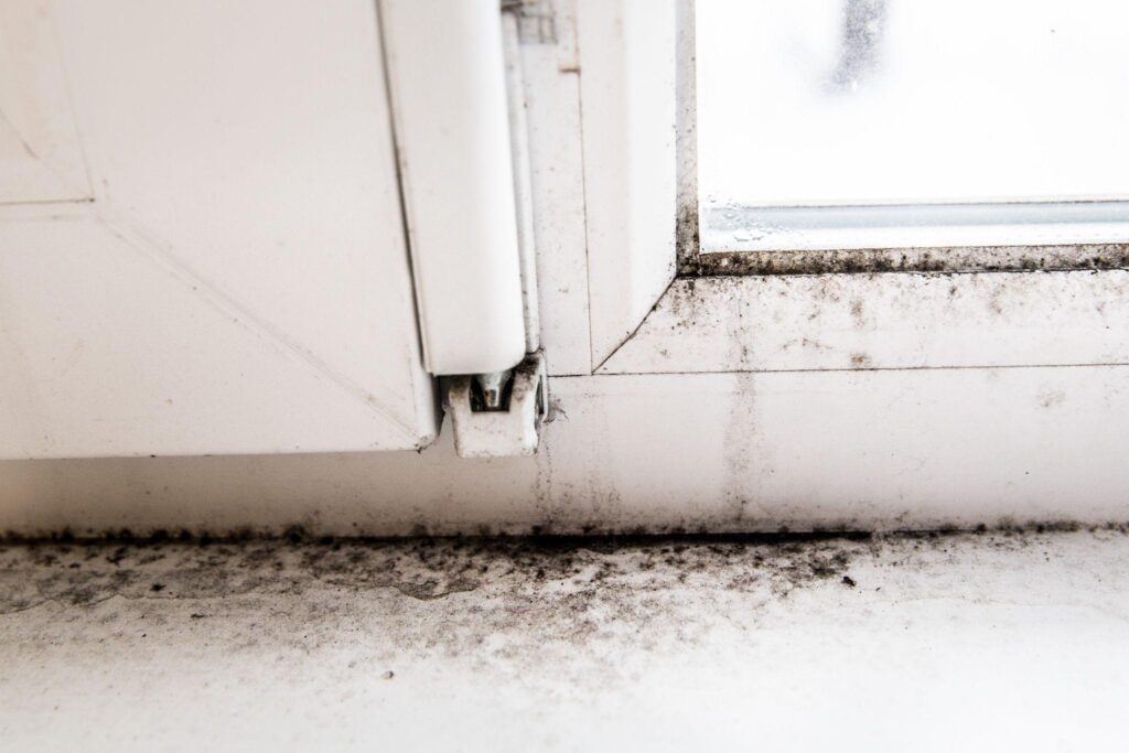 A window sill with dirt and dust on it.