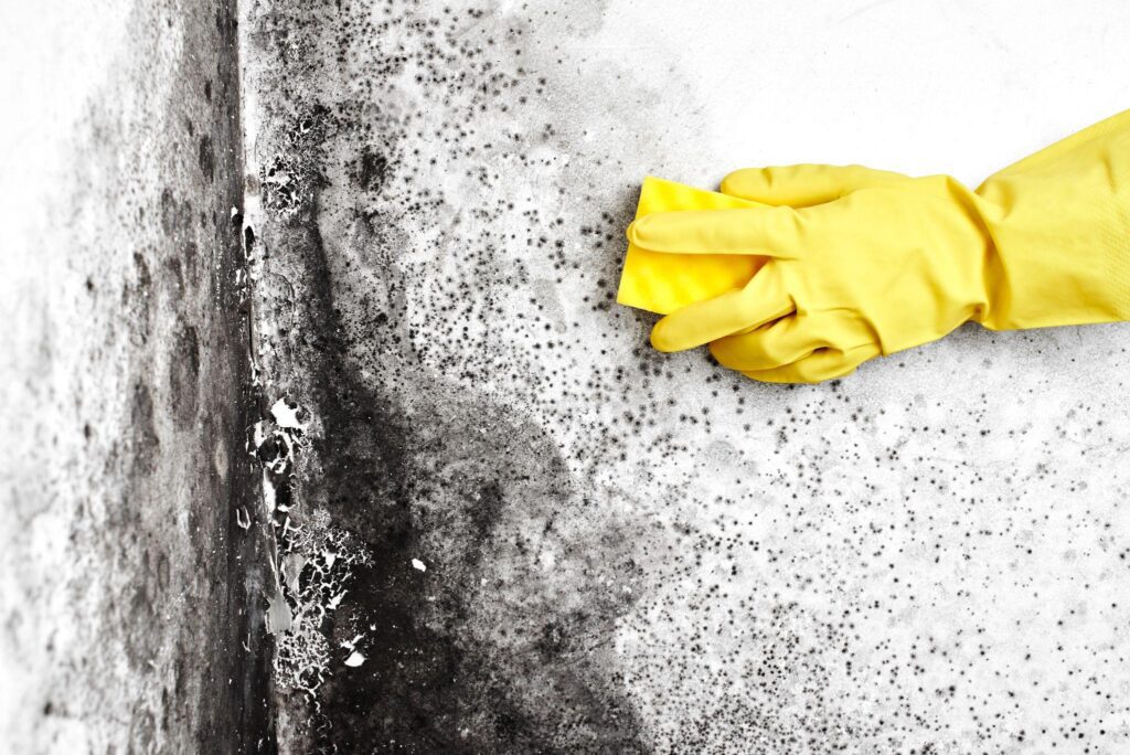 A hand in yellow gloves cleaning the wall.