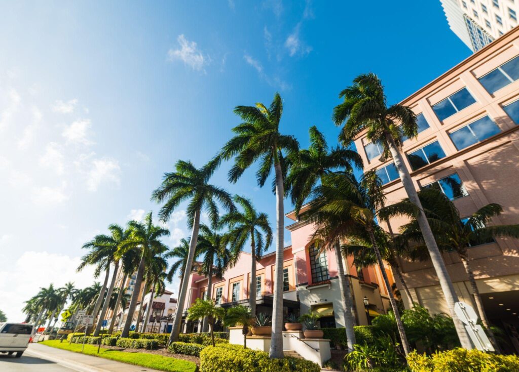 A row of palm trees in front of a building.