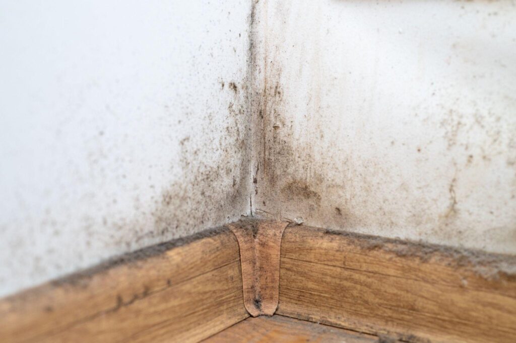 A close up of the corner of a room with brown paint.