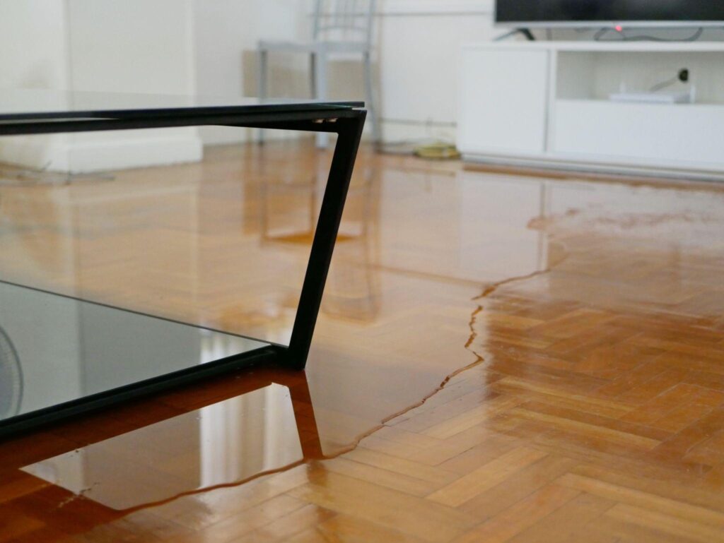 A living room with hard wood floors and a tv.