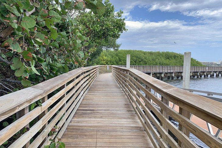 A wooden bridge with trees in the background