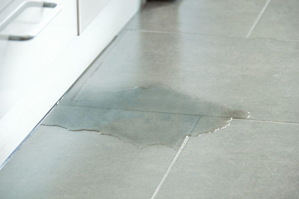 A puddle of water on the floor in front of a kitchen.