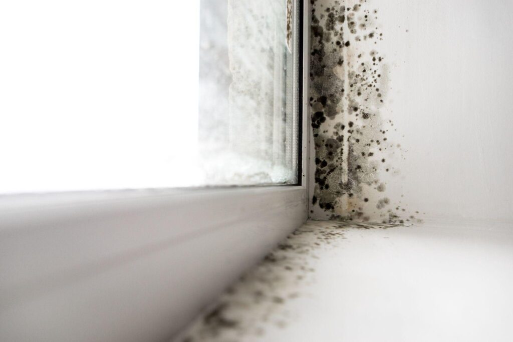 A window with black spots on the wall