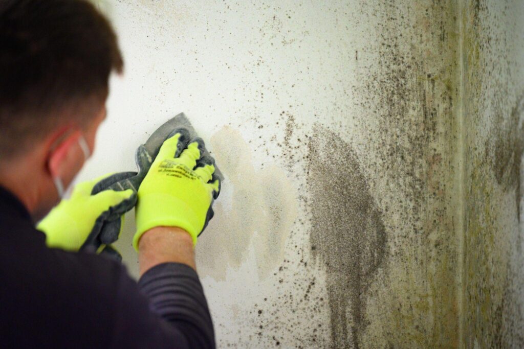 A person wearing gloves and cleaning the wall.