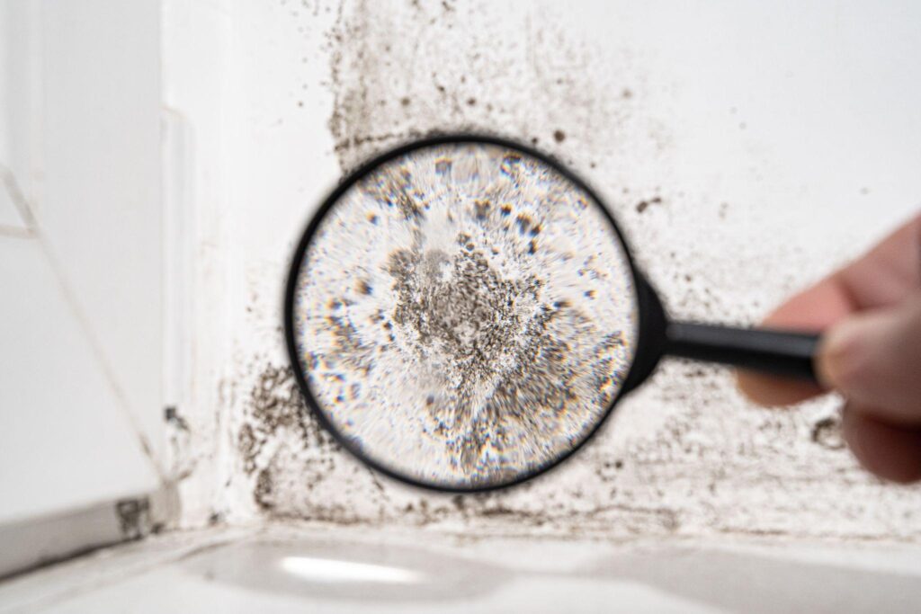 view through a magnifying glass white wall with black mold.