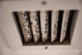 Mold growth in AC vent - West Palm Beach mold remediation needed"