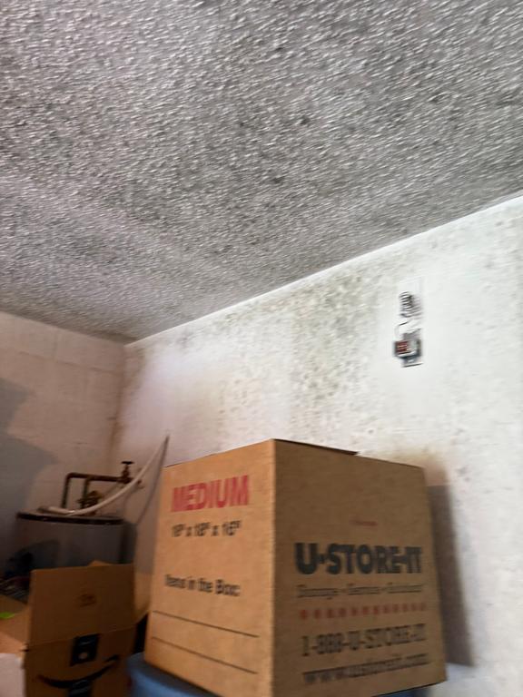 West Palm Beach mold remediation “water damage cleanup Florida” “mold inspection Jacksonville / Tampa / Orlando / Miami” “toxic black mold Florida”
